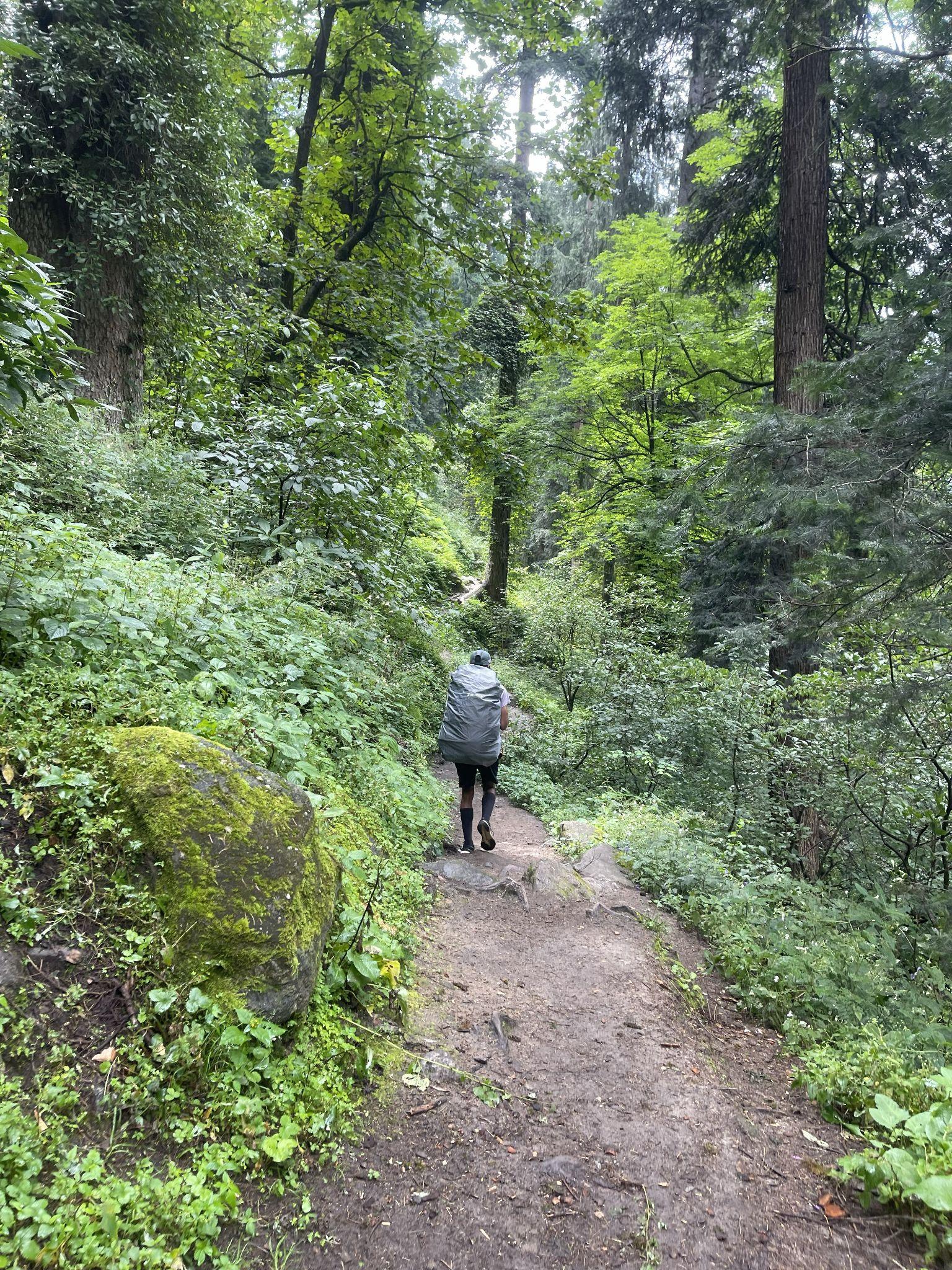 Forest trail to Kheerganga