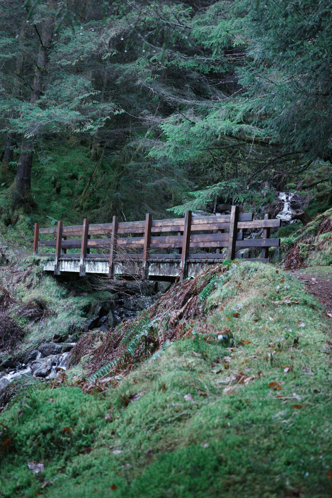 The wooden bridge on the Kheerganga trail