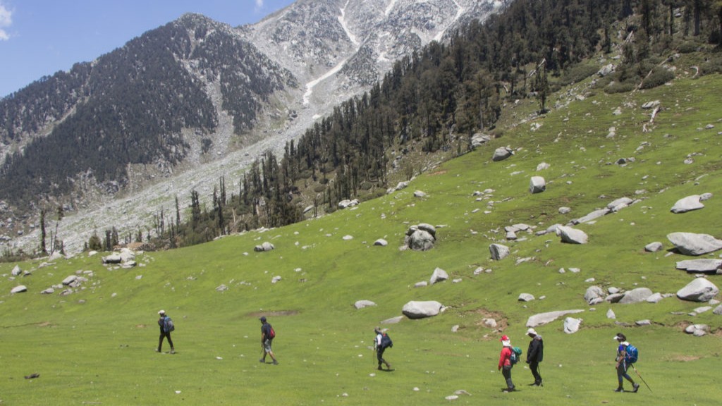 Self Packer Tribe walking through a green Himalayan meadow
