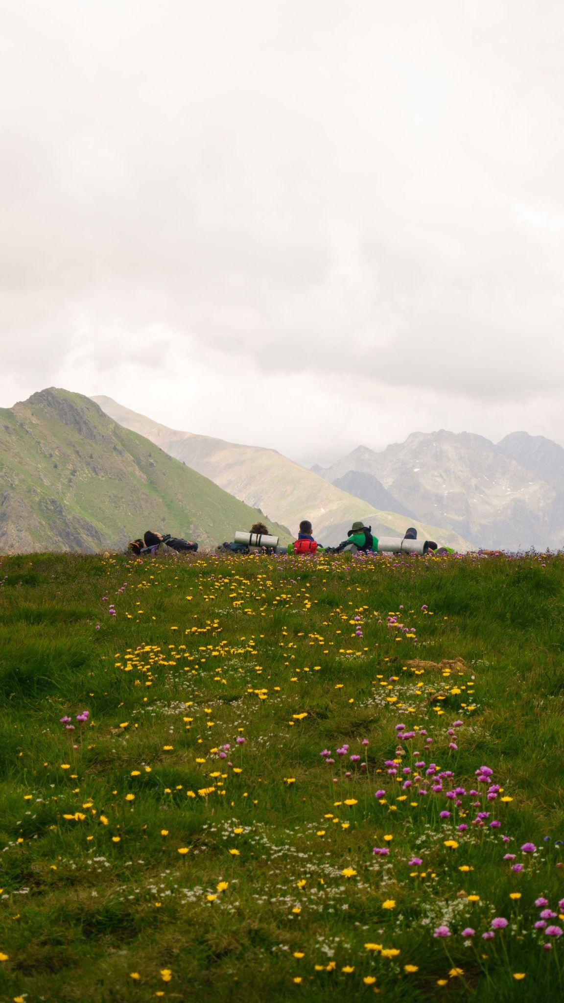 Green alpine meadow on the Sar Pass trek